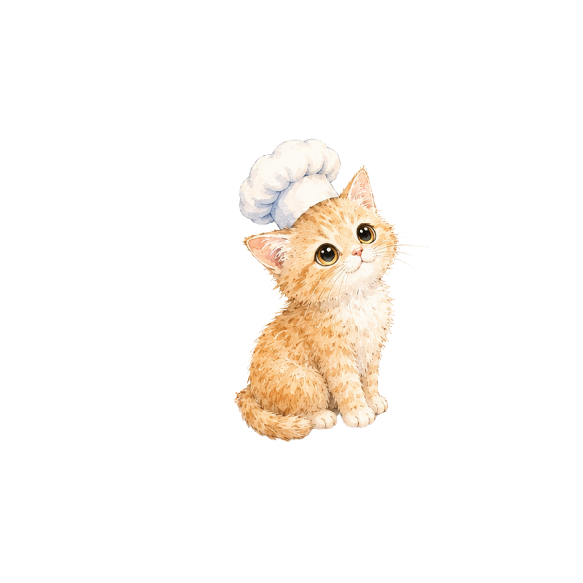 Biscotte et ses gâteaux