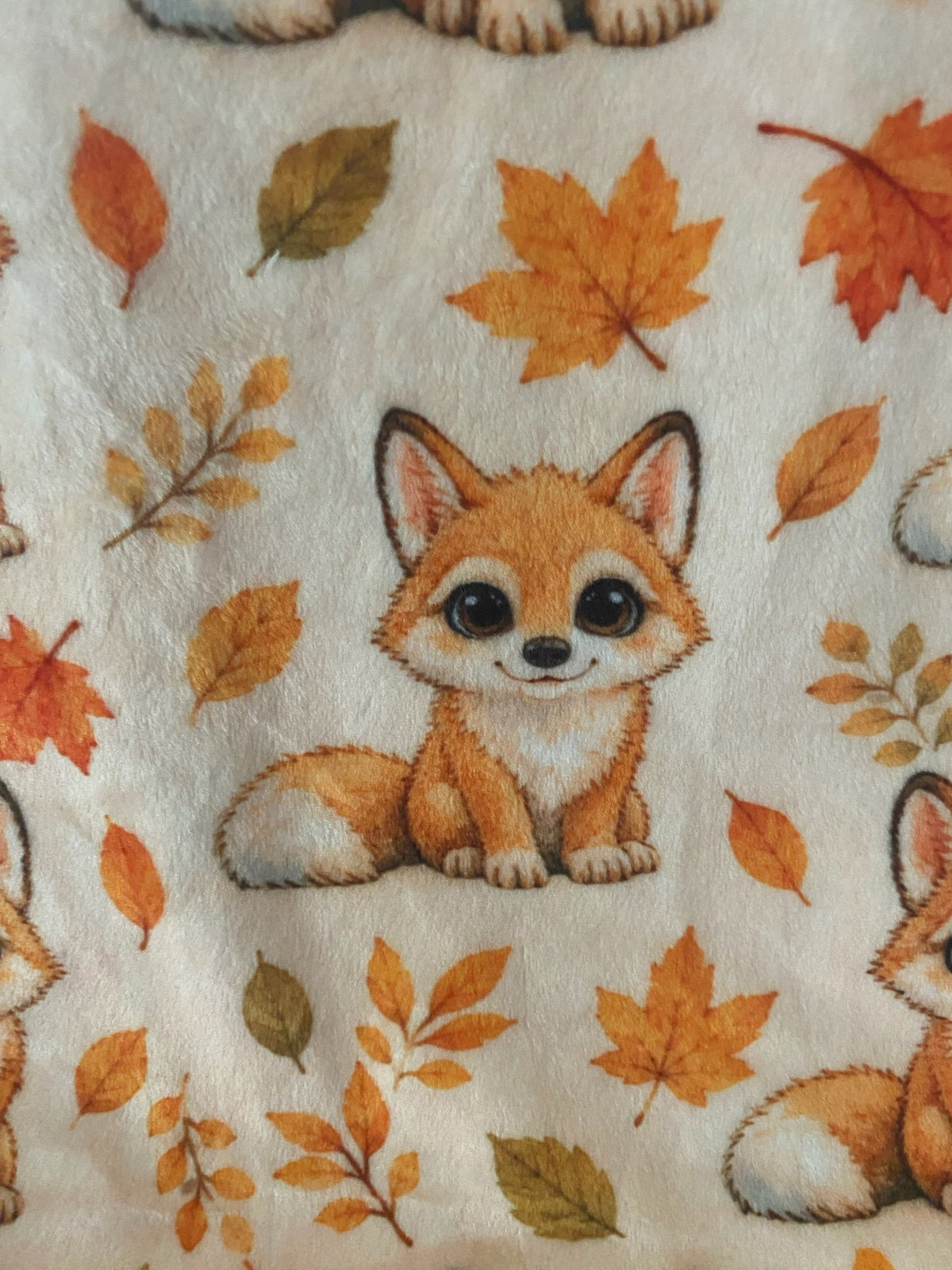 Renard d’automne