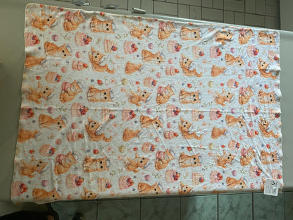 Couverture Squish enfant - Biscotte et ses gâteaux