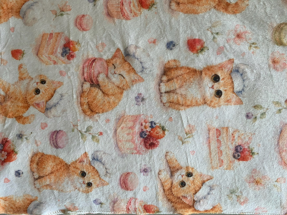 Couverture Squish enfant - Biscotte et ses gâteaux